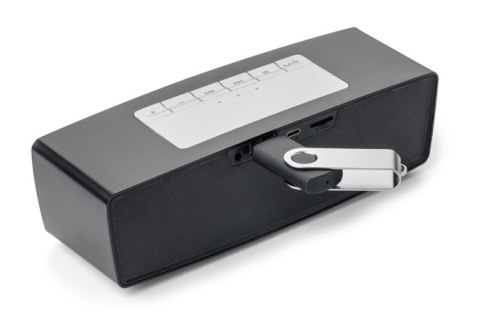 Głośnik bezprzewodowy AMBIENT